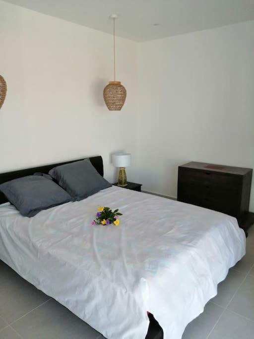 Residence Canne Mapou 2 1 Chambre Saint Pierre Dış mekan fotoğraf